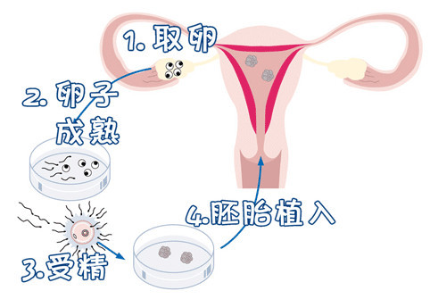 周立行